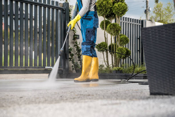 Best Residential Exterior Washing  in Orida Ridge, FL